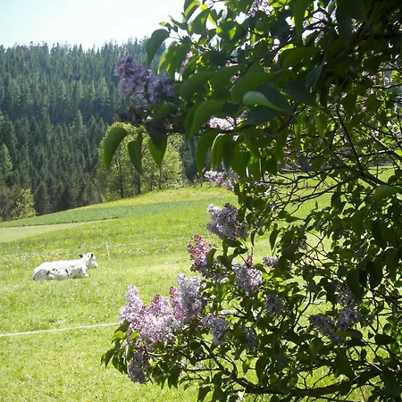 Farm stay Pircherhof - Urlaub Und Erholung Im Troadkost'n