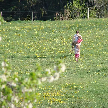 Pircherhof - Urlaub Und Erholung Im Troadkost'n Farmház