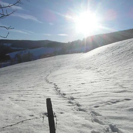 Pircherhof - Urlaub Und Erholung Im Troadkost'n *