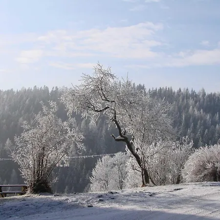 Pircherhof - Urlaub Und Erholung Im Troadkost'n