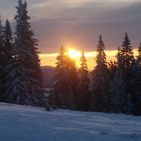 ファームステイ Pircherhof - Urlaub Und Erholung Im Troadkost'n