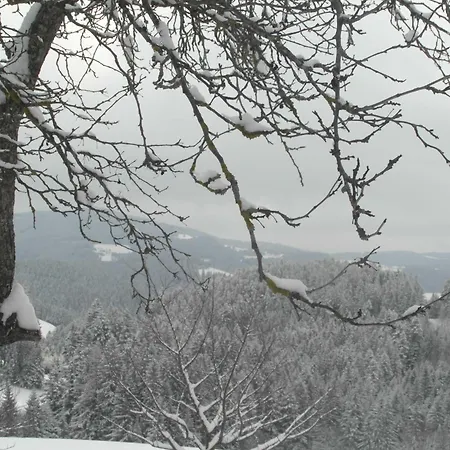 Pircherhof - Urlaub Und Erholung Im Troadkost'n Sankt Kathrein am Hauenstein