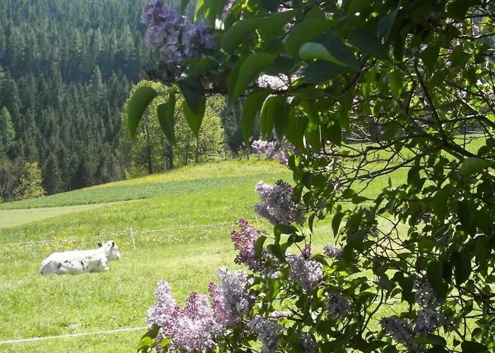 مزرعة للإقامة Pircherhof - Urlaub Und Erholung Im Troadkost'n