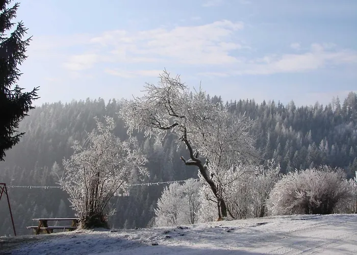 Pircherhof - Urlaub Und Erholung Im Troadkost'n