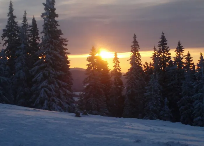 Alojamento de Turismo Rural Pircherhof - Urlaub Und Erholung Im Troadkost'n