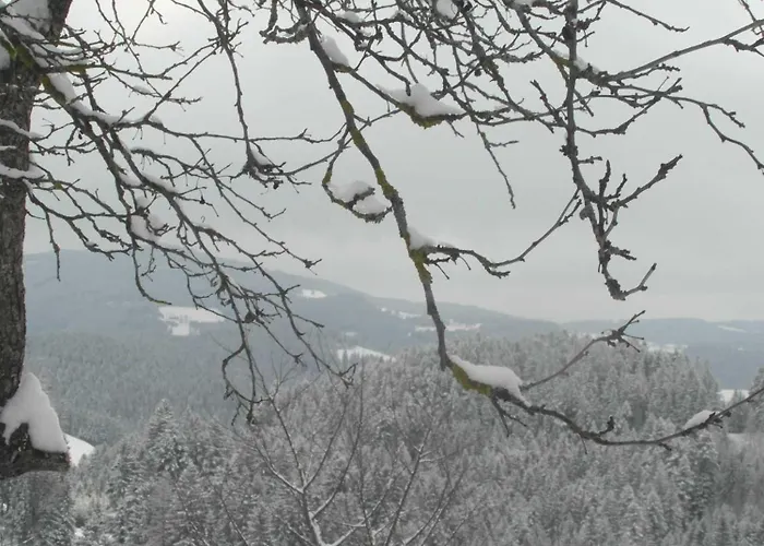 Pircherhof - Urlaub Und Erholung Im Troadkost'n Sankt Kathrein am Hauenstein